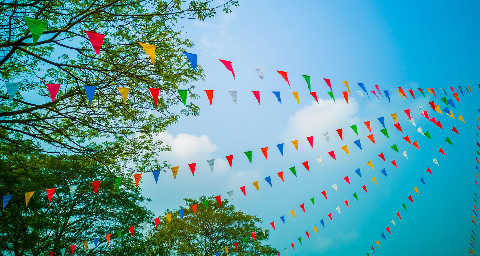 multicoloured bunting hanging from the trees with blue sky.