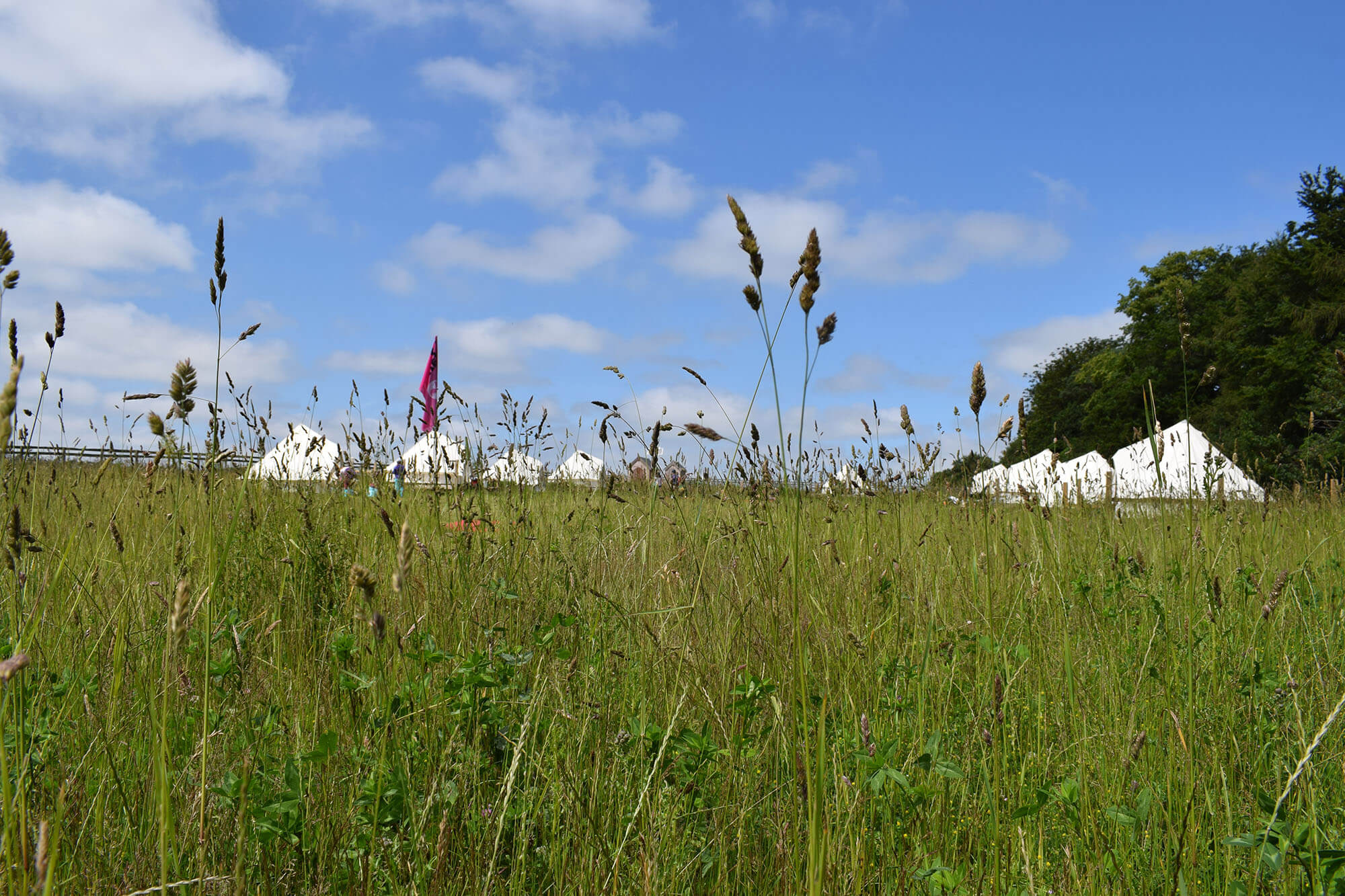 farm camp residential at sacrewell - bell tents in field with long grass and blue sky.